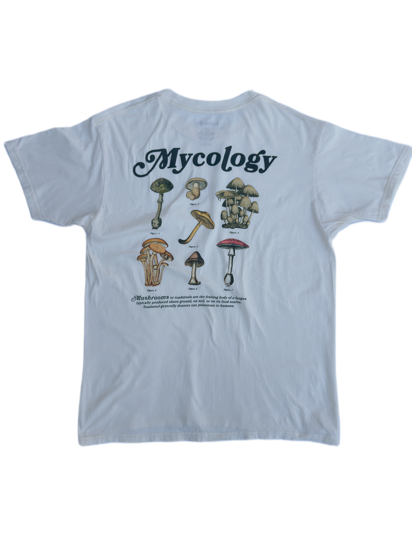 Mycology Mushroom Tee