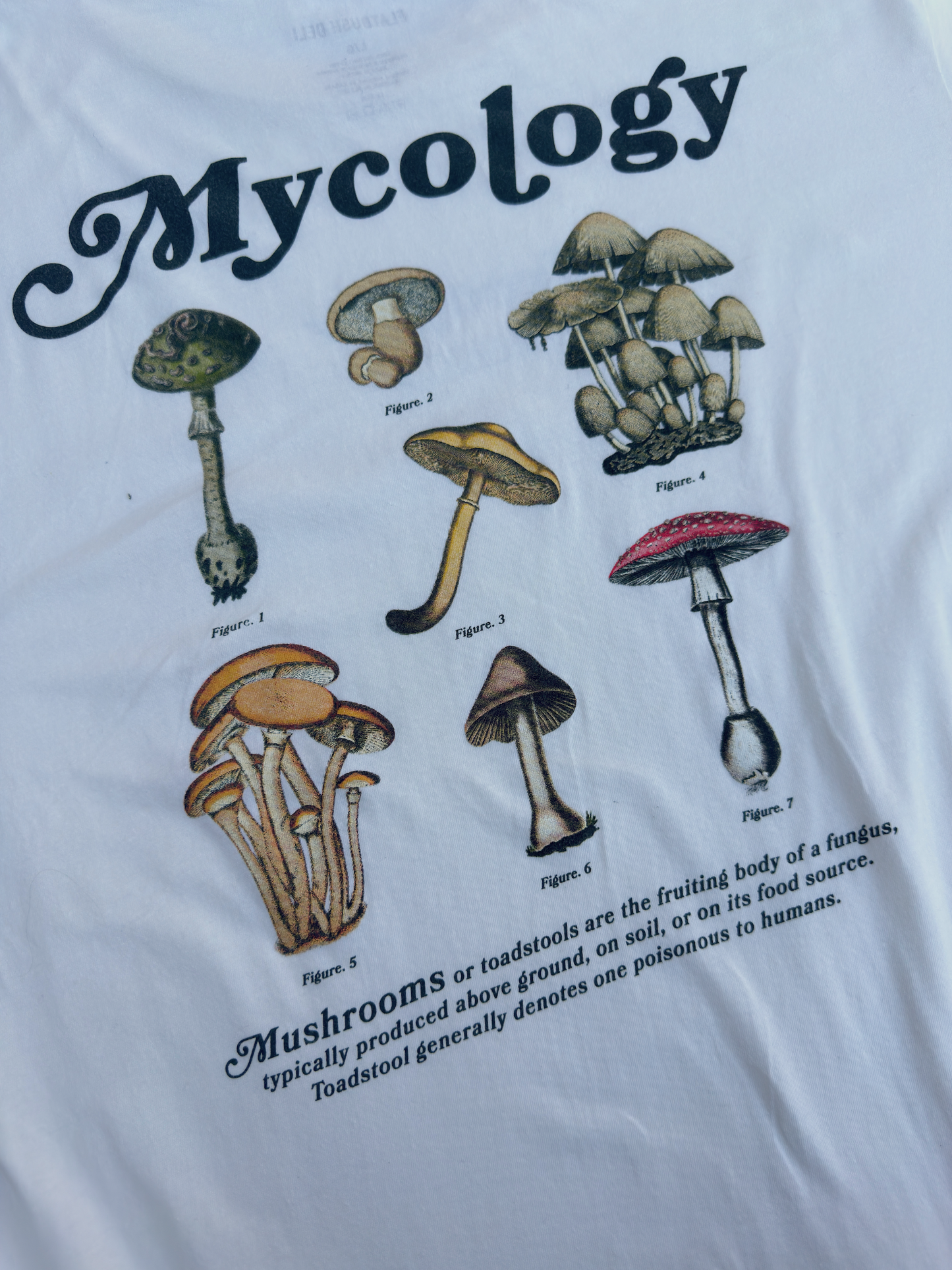 Mycology Mushroom Tee